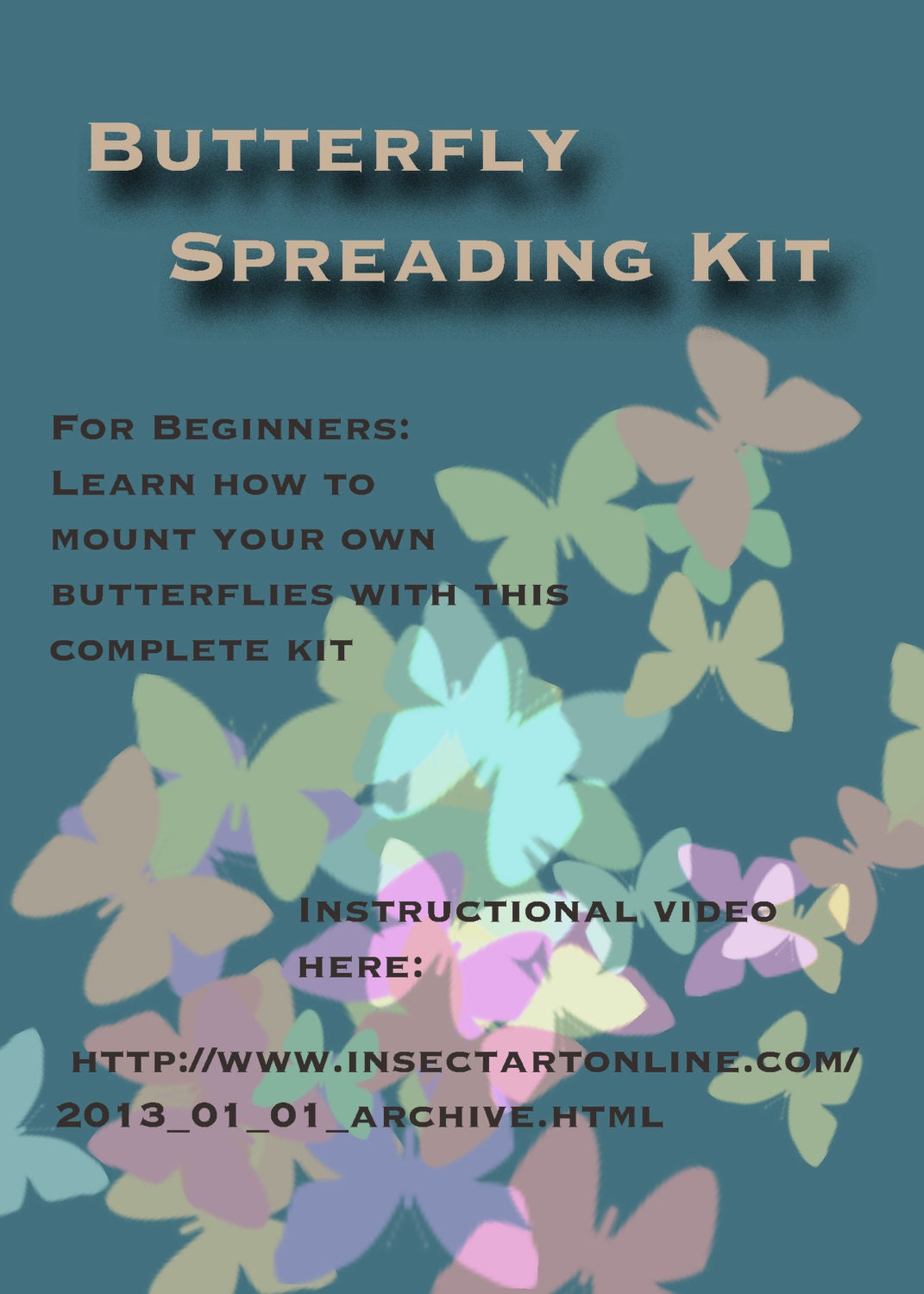 Butterfly Mounting Kit for Beginners, with Real Butterflies and Tools