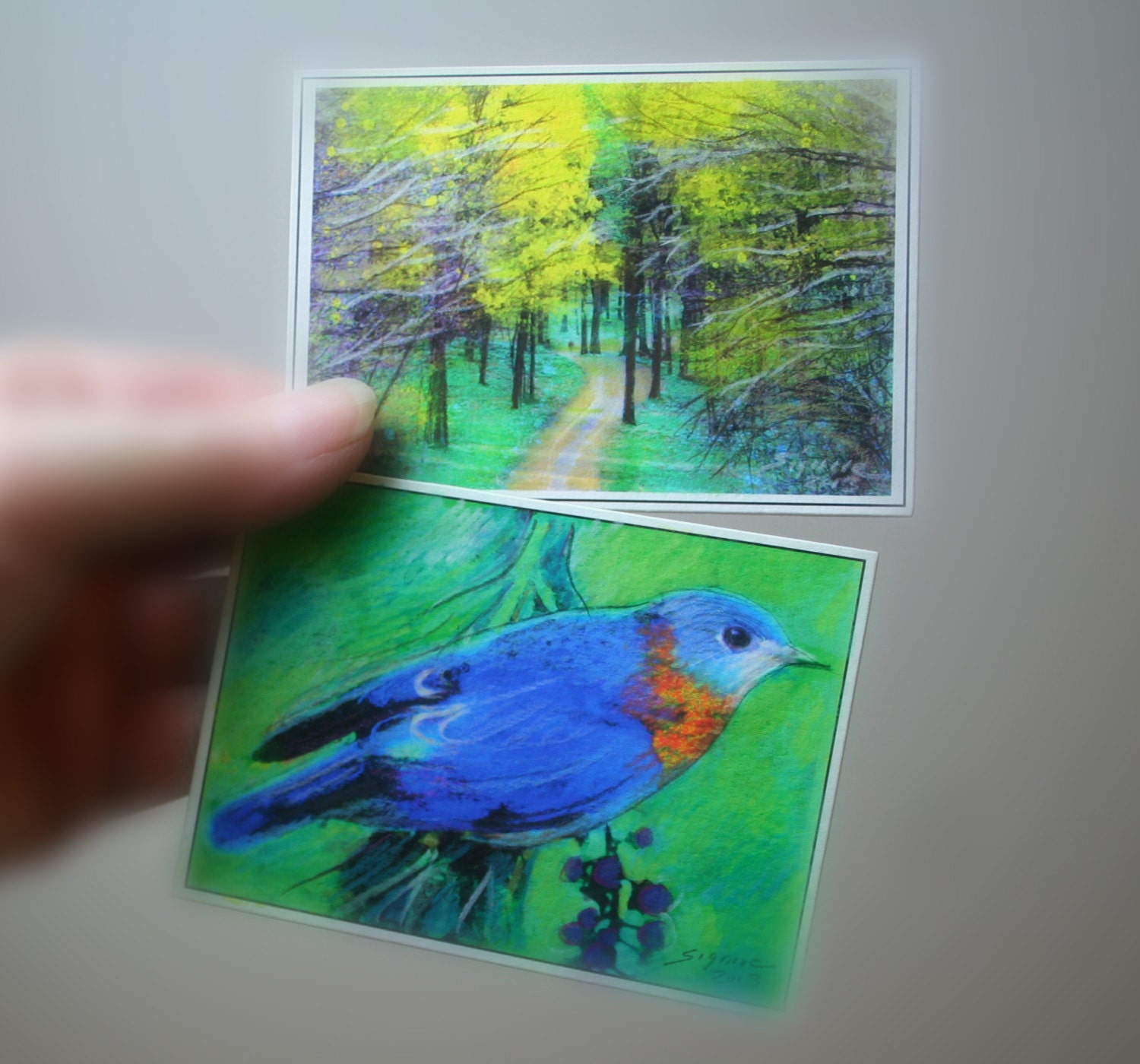 Spring Bluebird and Spring rains, tiny, nature photography, landscape, art, photo mixed medias, originals, spring