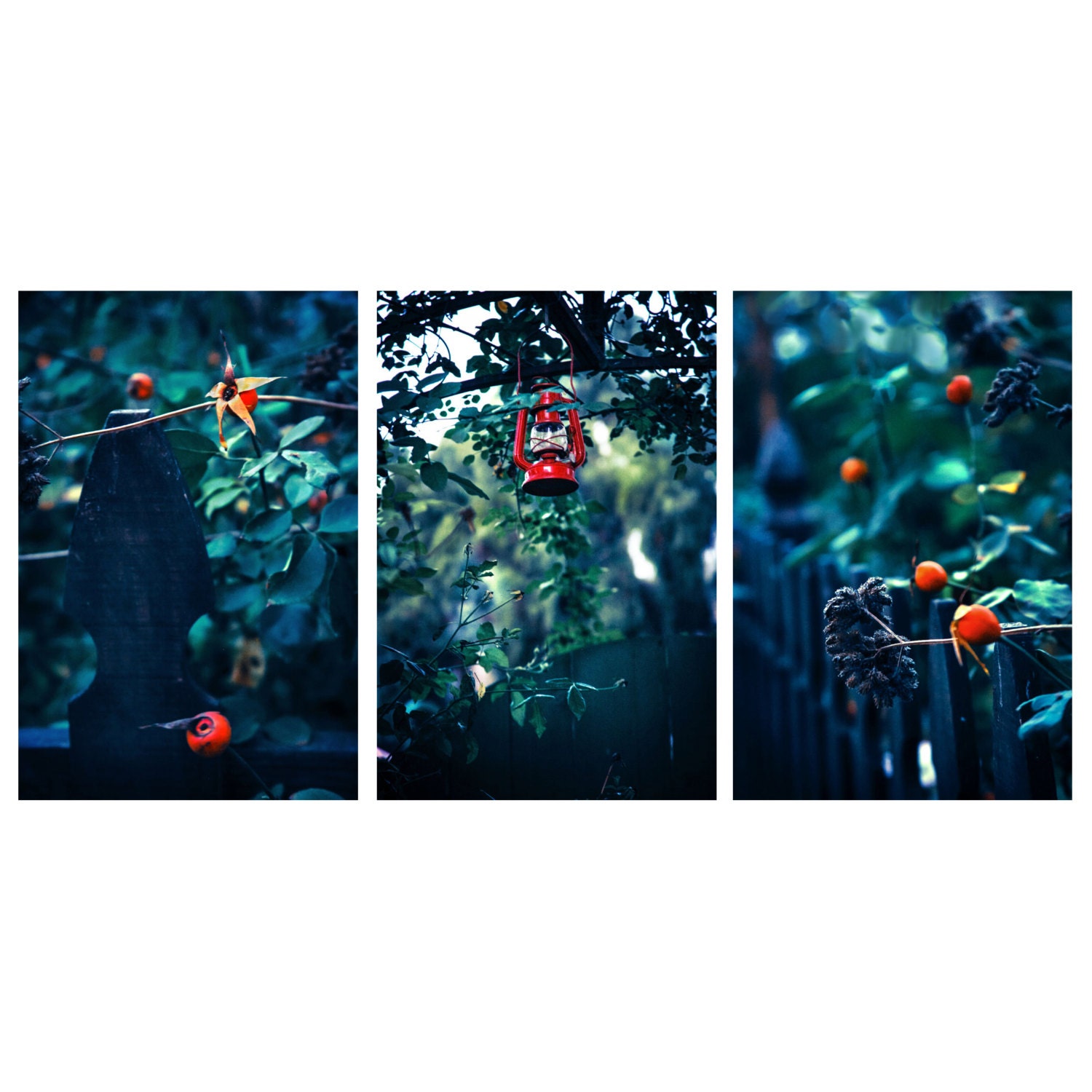 Cabin in the Woods Set- Forest - Red - Autumn - Nature Photography - Original Fine Art Photography