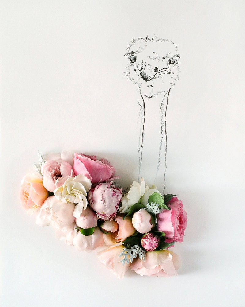 ostrich and Flower Photograph No. 88240