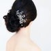 Set of Two Crystal Hair Pins