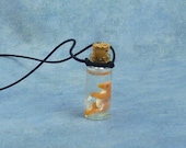 Bird Embryo Specimen Jar Necklace, Handmade Jewelry