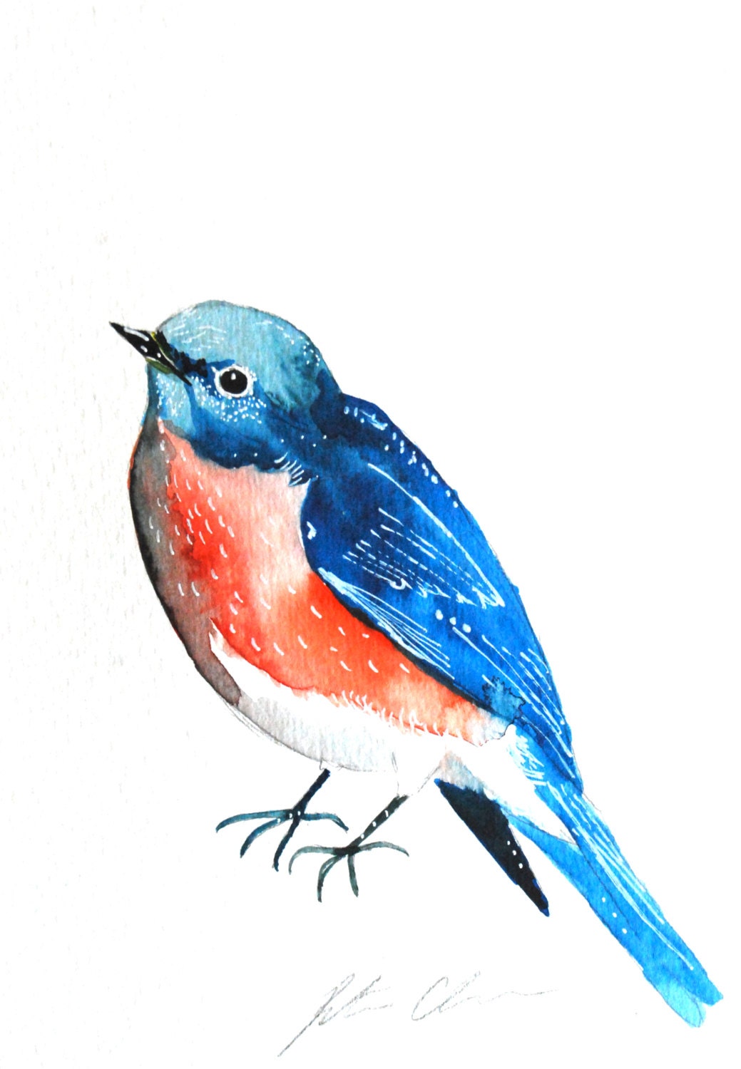 Watercolor Painting, Original, Bluebird, Bird Painting, 6"x9"