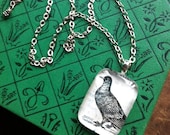for the birds - vintage dictionary pigeon illustration pendant sterling silver cable chain