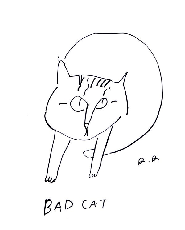 Bad Cat- Fine Art Print- Ink Drawing