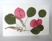Pressed Flower Card Bouganvilla petal Blank Greeting Card
