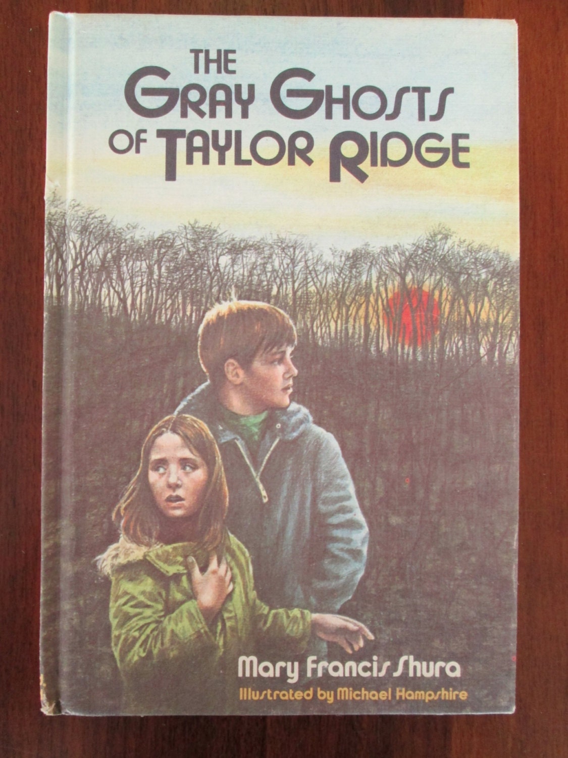 Gray Ghosts of Taylor Ridge Mary Francis Shura