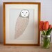 Barn Owl Giclee Print - Free US Shipping