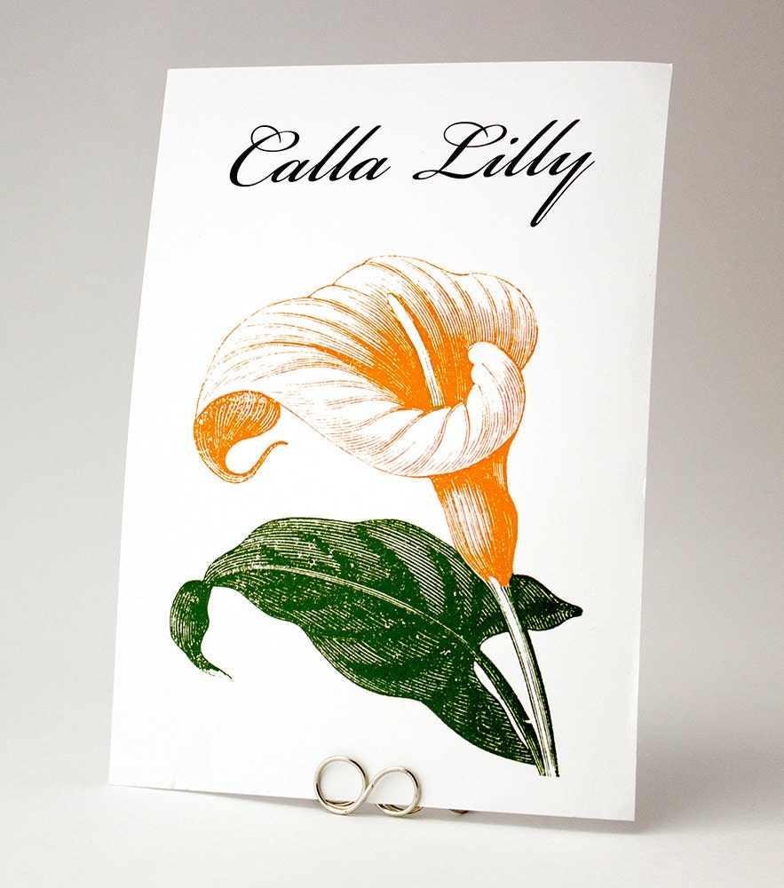 Elegant Spring Flower Table Number Illustrations - Garden Woodland and Rustic Wedding Reception Table Cards