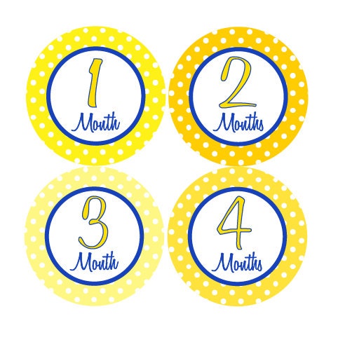 Monthly Milestone Stickers Gender Neutral Month Stickers First Year Milestone Sticker Neutral Monthly Milestone Stickers Belle-T Il_570xn