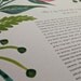 Ketubah - Spring Blooms