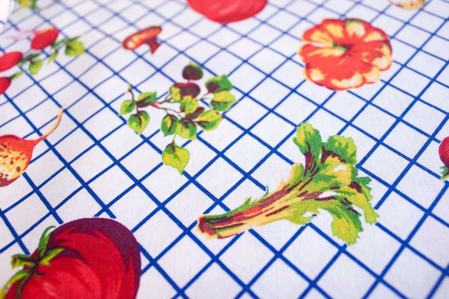 Moda Eat Your Fruits Veggies Prints 1 yard