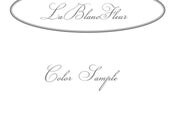Silk Organza Fabric Sample