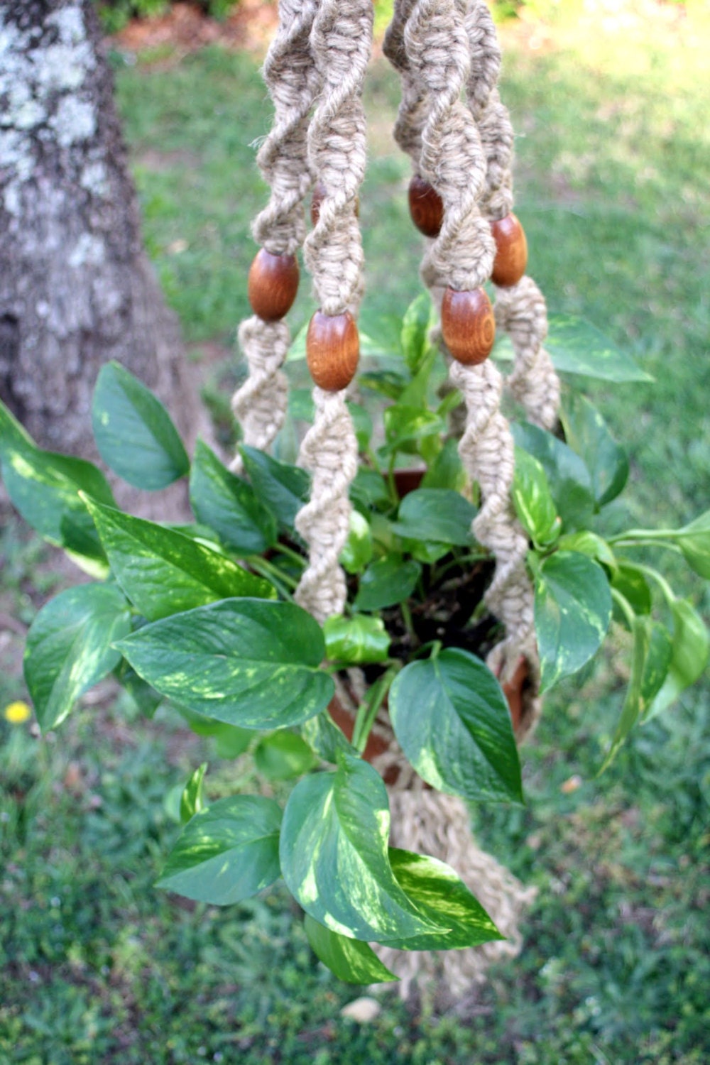 Naturalist- Gardening- Jute Swirly Things- Handmade Natural Jute Macrame Plant Hanger- Mothers Day