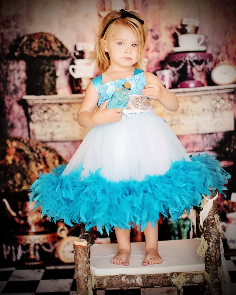 A Spring Sky...A Lovely Rosette And Tulle Dress