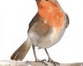 Print my Original Watercolor - Open edition Art Bird - Robin - Painted by Lorisworld (8x10)