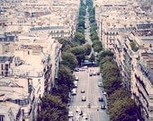 Paris Street Photography 8 x 12 Print. Paris, Tree Lined Street, Vintage, Neutral, Grey, Paris Architecture, Paris Photo, Green, Cars
