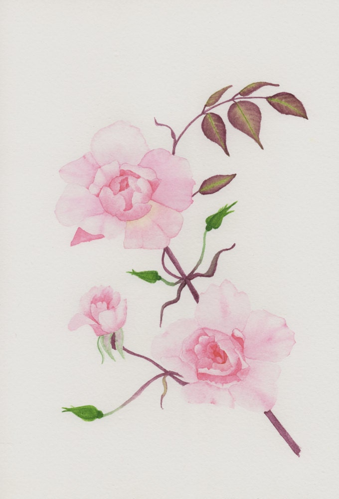 Pale Pink Roses Original Watercolor Painting