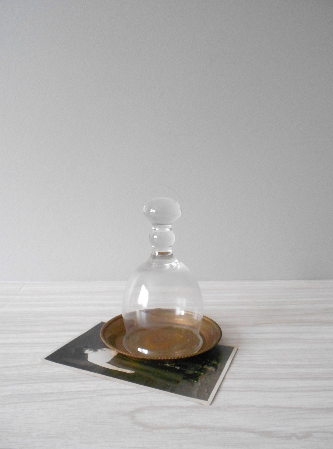 20% sale // rustic glass cloche terrarium with solid brass base