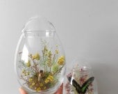 LARGE egg shaped glass jar terrarium with butterflies and wild flower // storage display