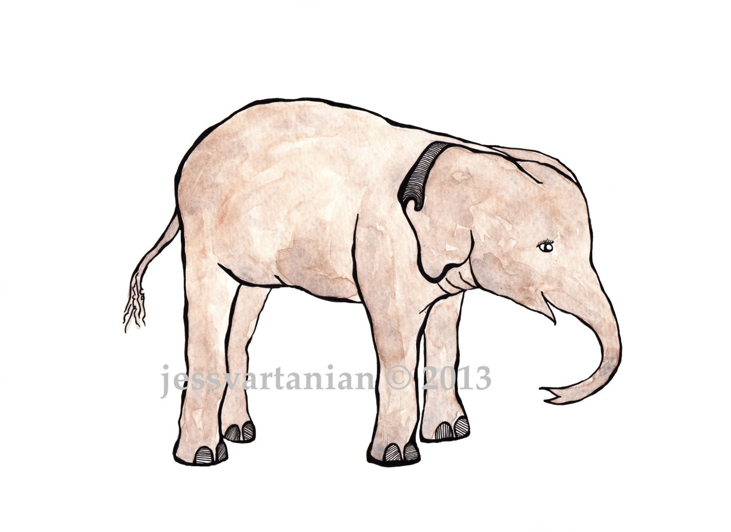 Baby Elephant Watercolor & Ink Illustraiton Print