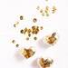 Lovely Pocket Sequins in a sweet heart case- Gold