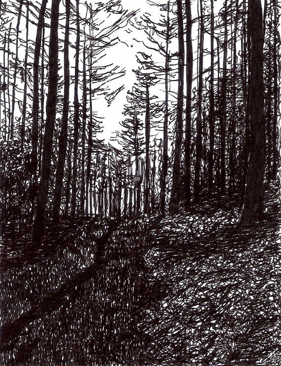 Forest Path Drawing - ouroboros81