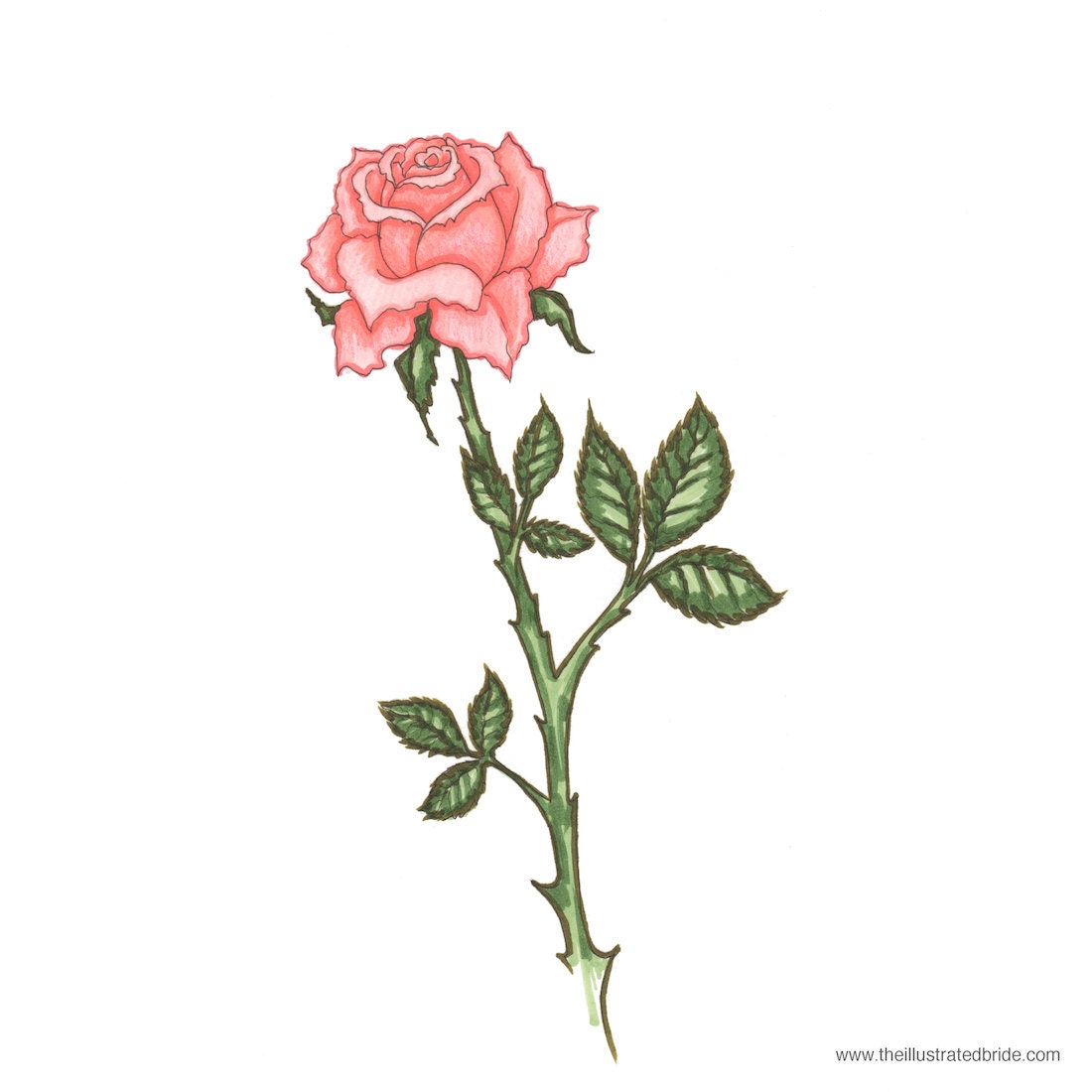 Bouquet or Flower Illustration - Custom Portrait - 5 x 7"