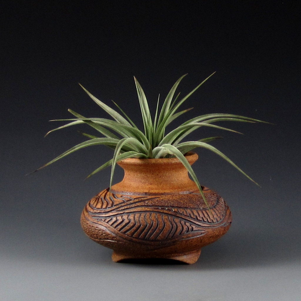 Ceramic Tilly Pot (tm) (5655) and Vernicosa Air Plant