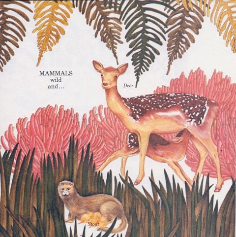 Vintage Print - Animals, Baby Decor, Nursery, Woodland Art, Deer