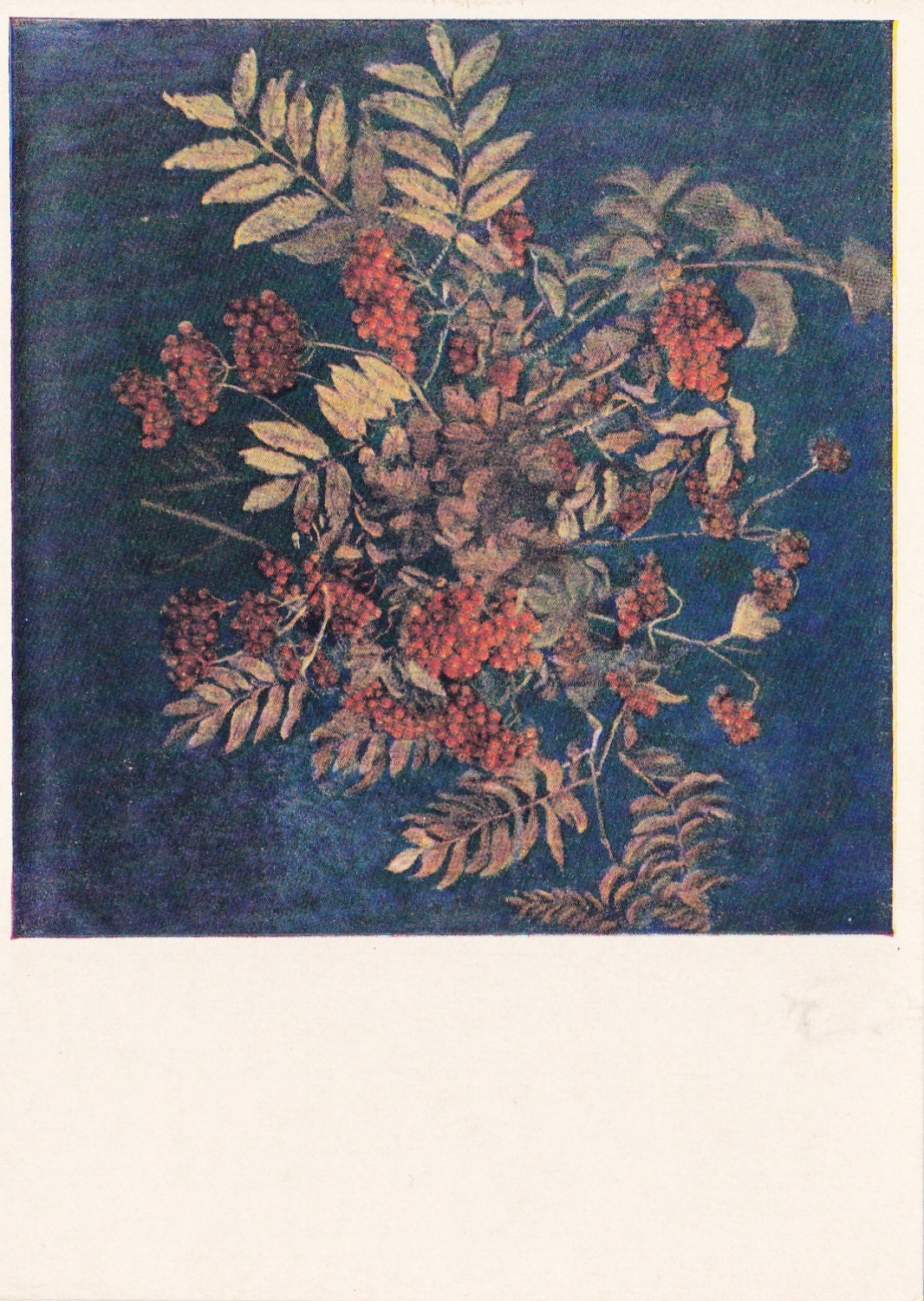 Vintage Mashkov (Rowan) Postcard - 1956, Soviet Artist