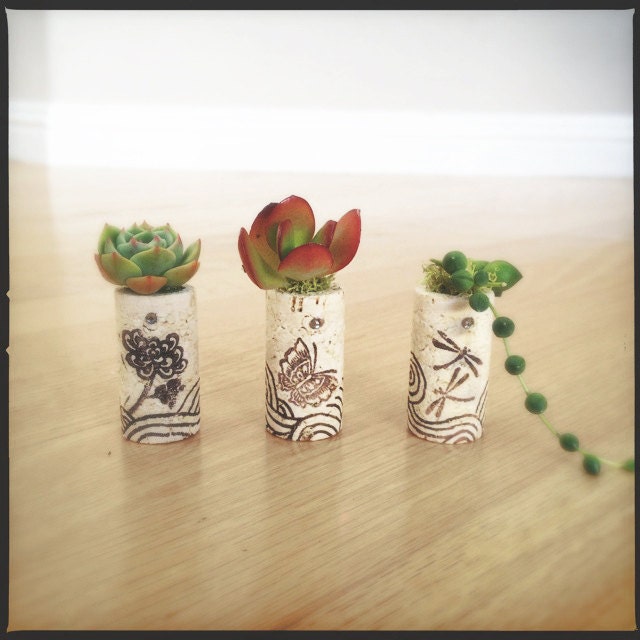 DIY Succulent Mini Garden Wine Corks, Zen, Chrysanthemum, Dragon Fly, Butterfly, Succulent Plants, Decorated Corks