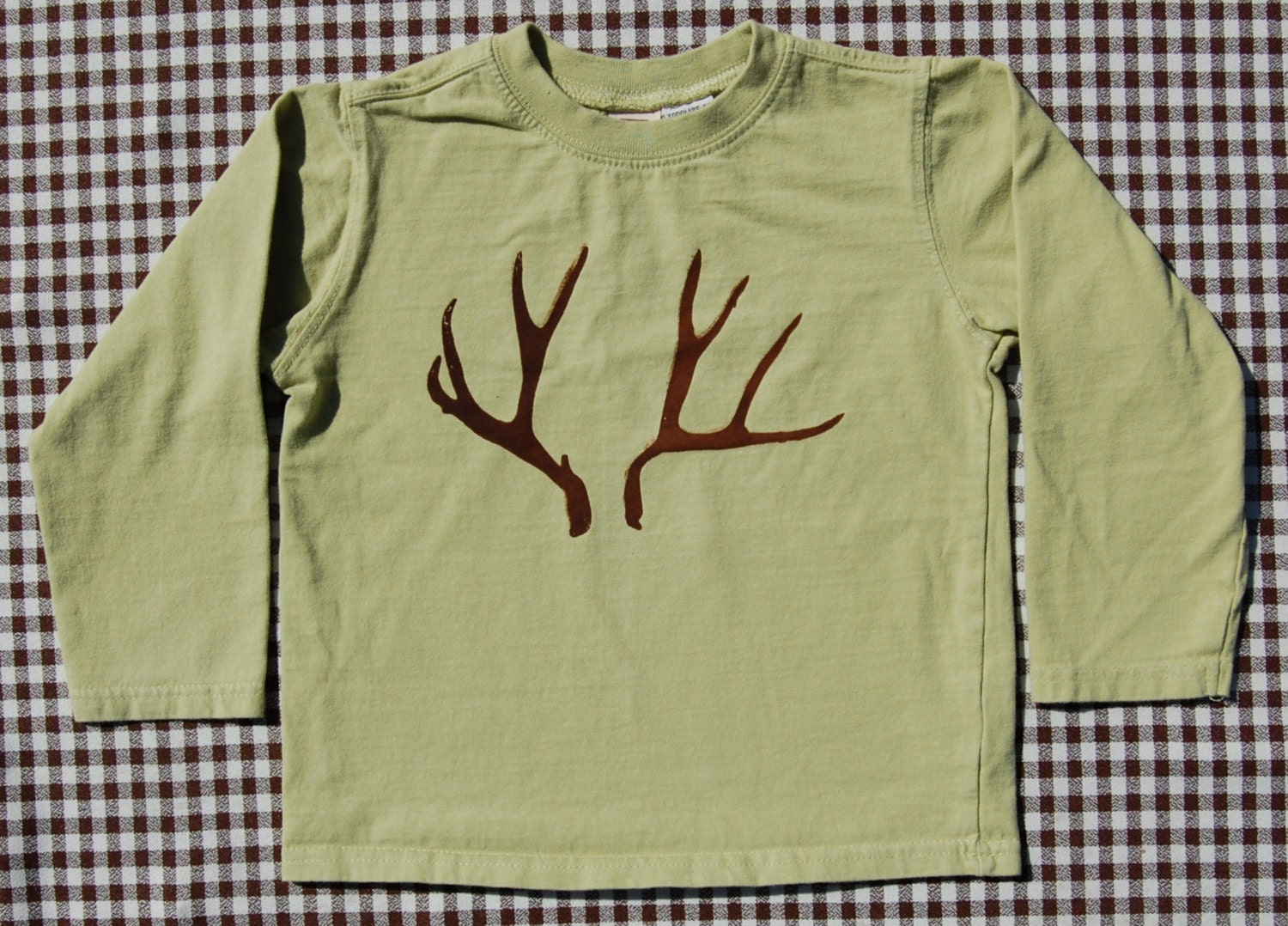 Antler's Antlers -- Upcycled Light Green Long Sleeve Shirt -- 5T