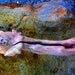 How The Light Gets In, Driftwood Woman with Sun Shells