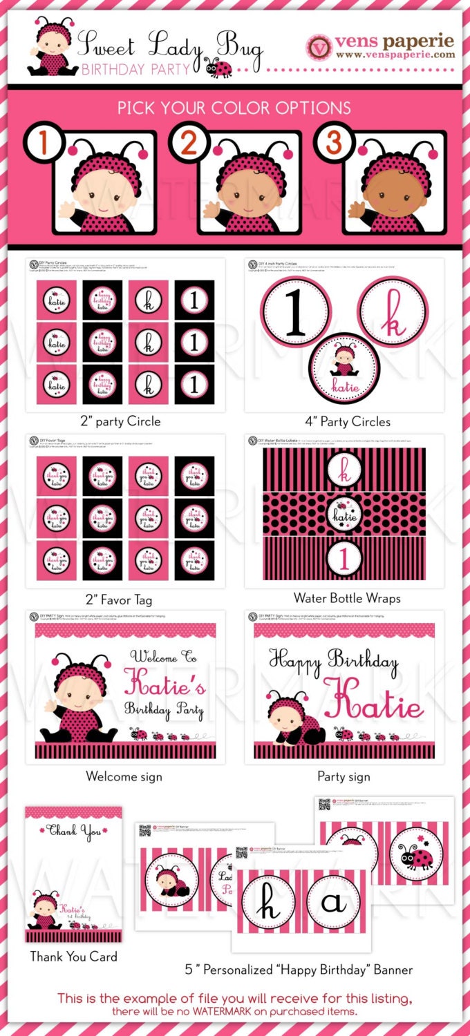 Sweet Pink Lady Bug Birthday Party Package Personalized FULL Collection Set - PRINTABLE DIY - PS815CB2x