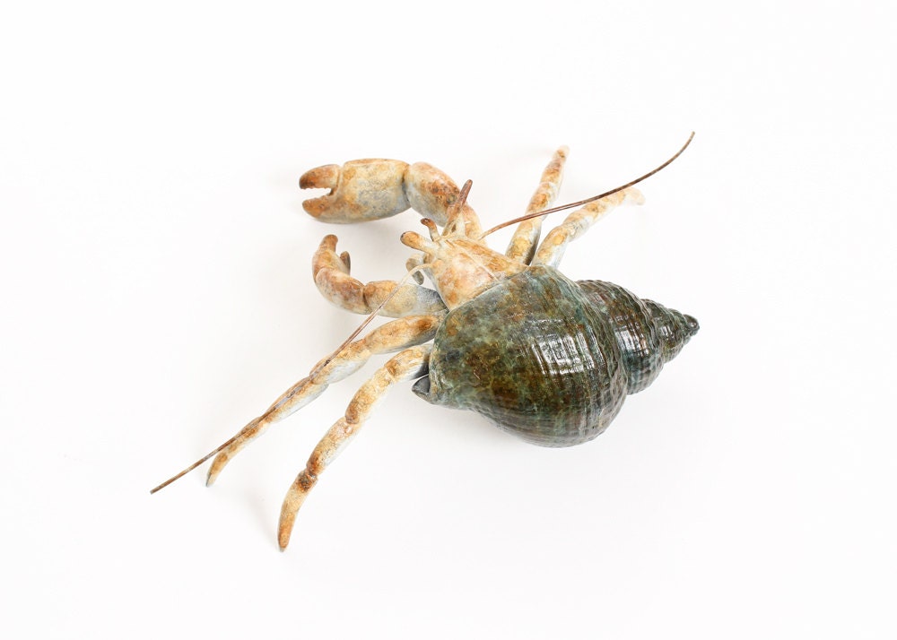 Hermit Crab No.2 Limited Edition Bronze PREORDER ONLY