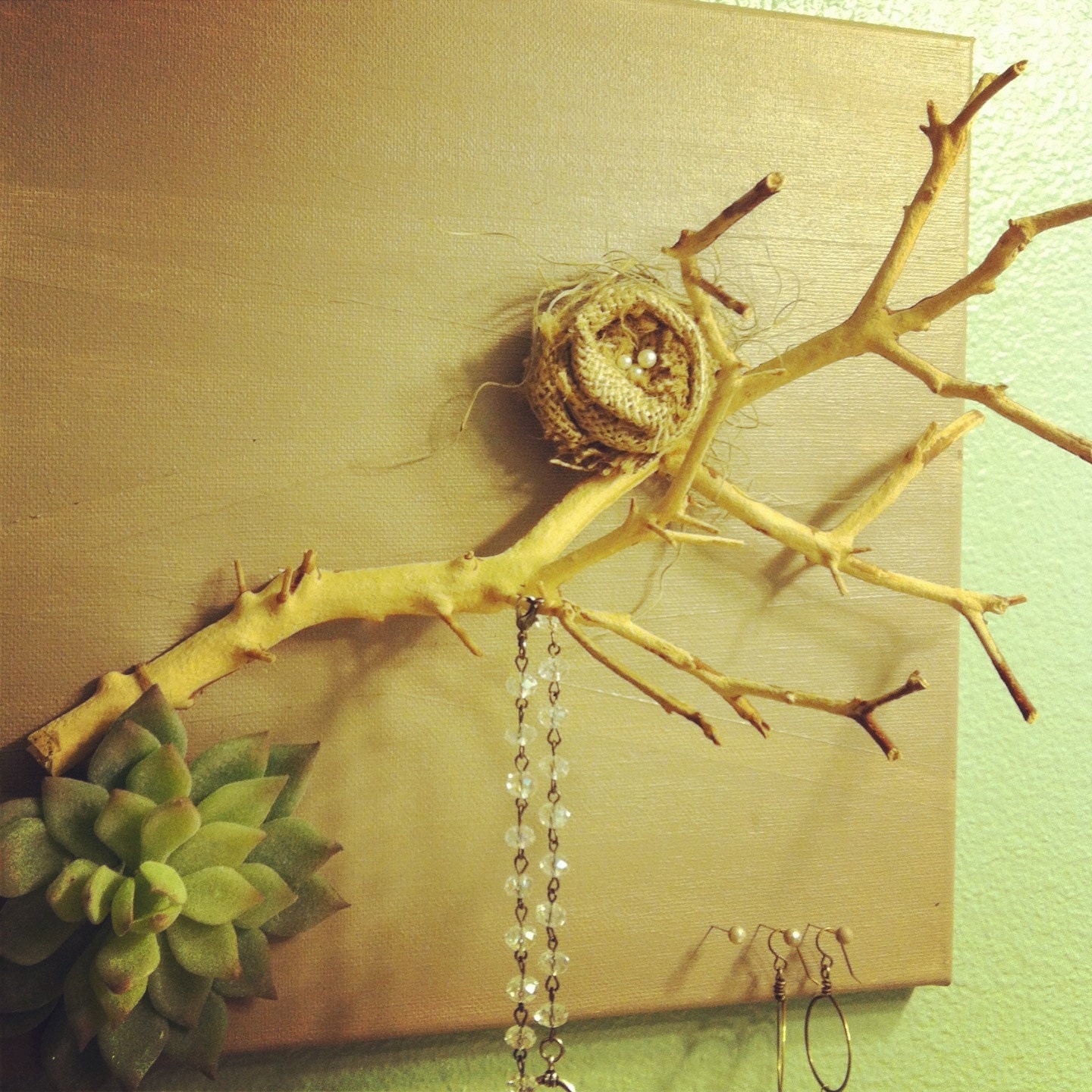 Jewelry Display with Natural Wood and Succulent