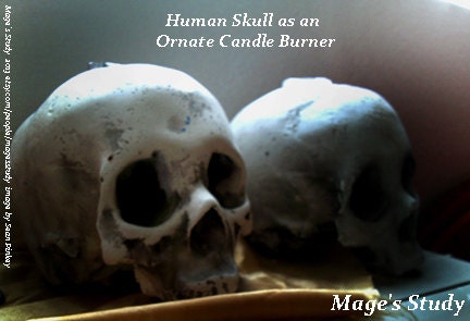 Handmade Decorative Skull Full Scale