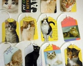Cats and Kittens. Small Decorative. Hang Tags. Party Favors. Recycled.
