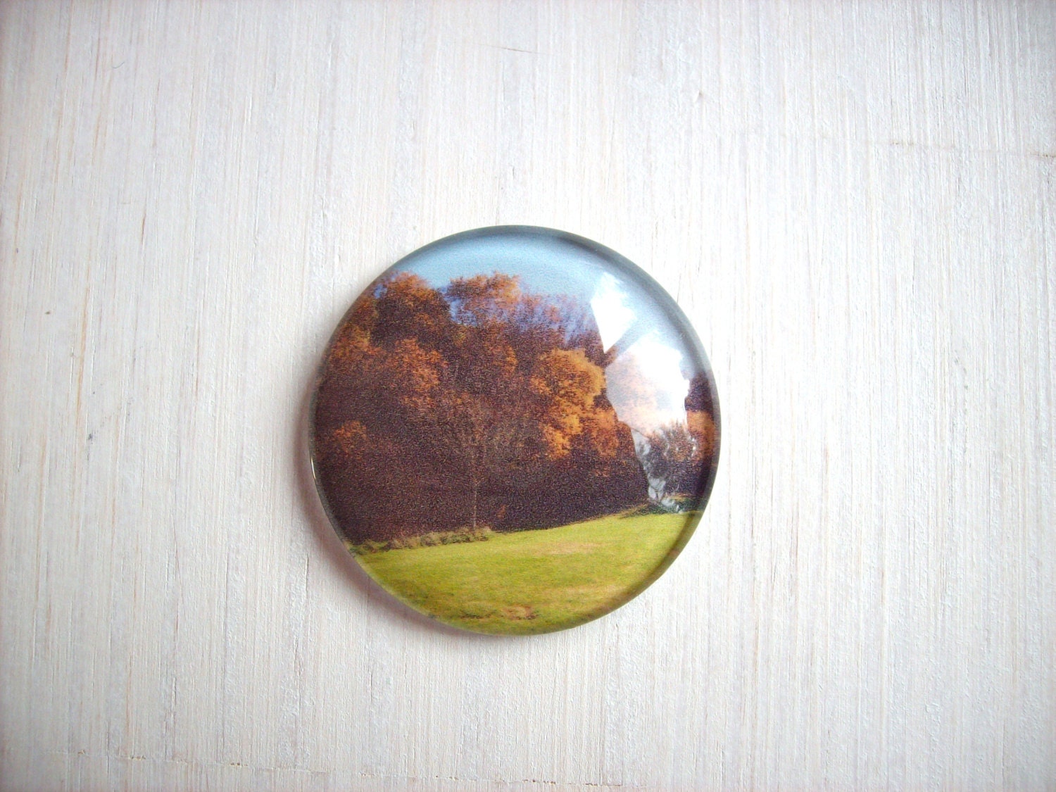 Magnet: Lanscape, Trees, Green, Nature, Beautiful, Unique, Gift, Magnet, Refrigerator Love, Photography, Art - 1.5 Inches Magnet