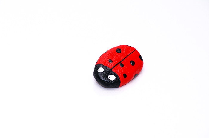 Red Ladybug brooch Handmade Ladybird pin Lovely gift idea Original woman girl jewelry / Make to order