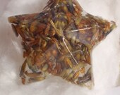 Lavender Star Pin