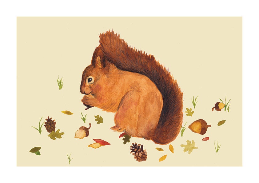 Squirrel Illustration - Archival Print A4 - 297x210 - Nursery, Children