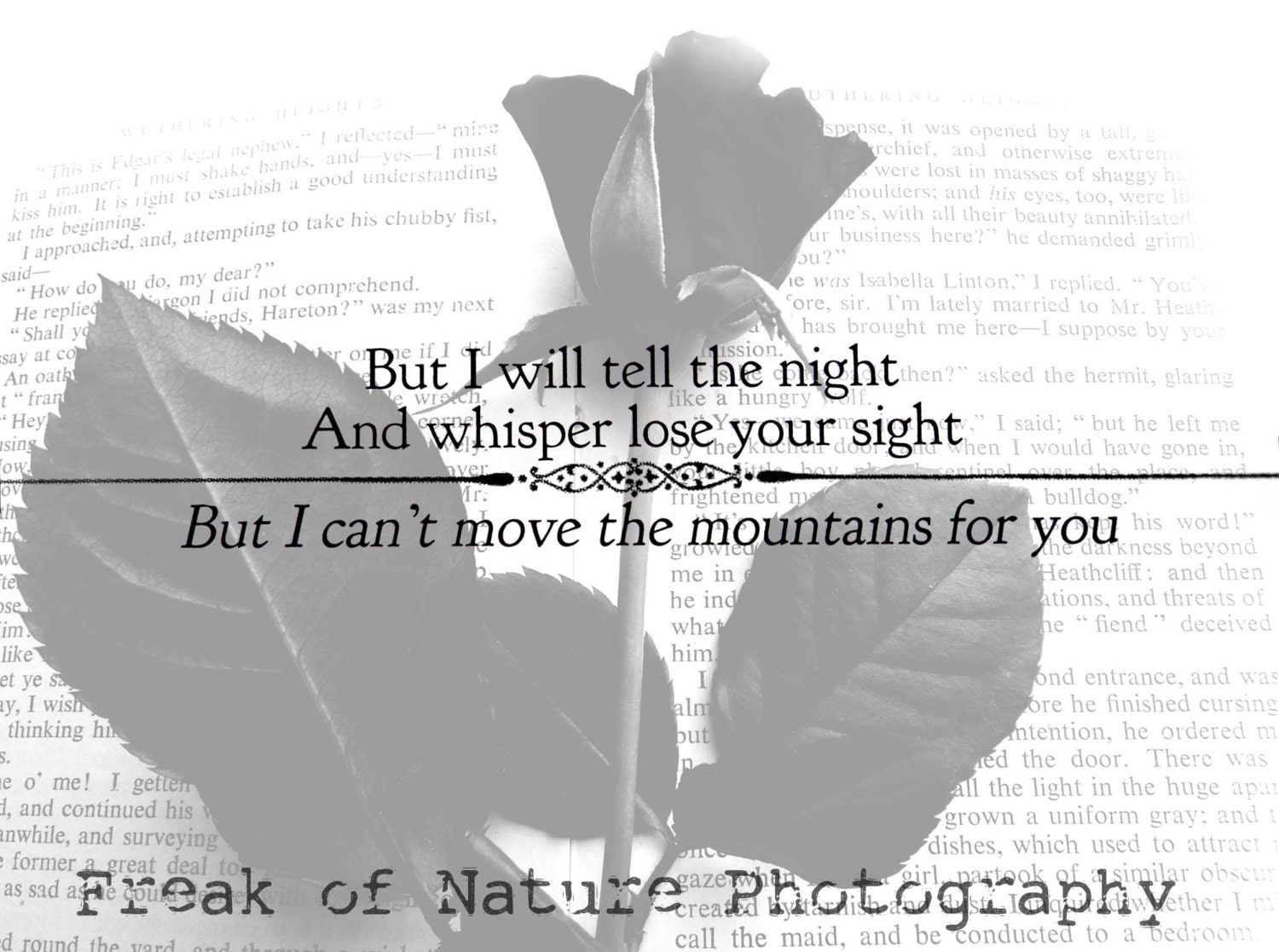 Fine Art Photography Monochrome Black White Mumford and Sons Timshel Lyric Print 11x17" Printed to Order