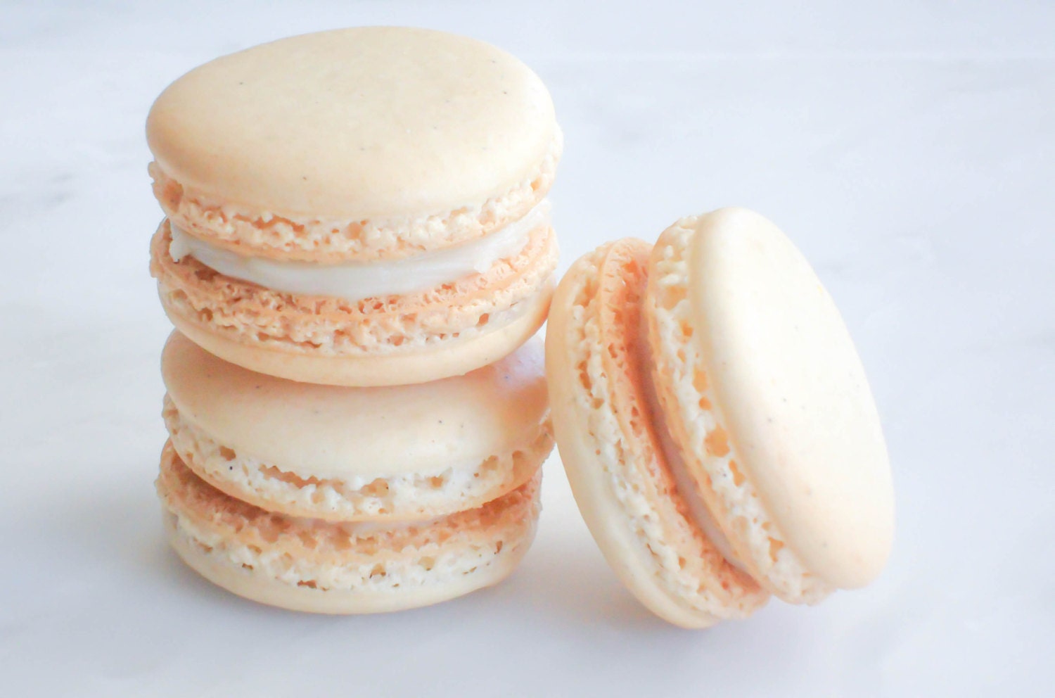 French Macaron Cookies 12 Madagascar Vanilla Macaroons Gift Splendid Sweet