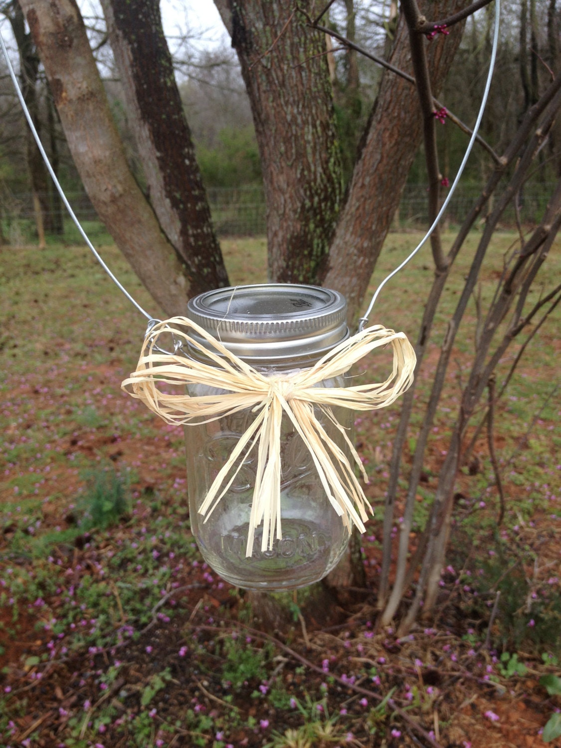 Set of 8 Hanging Mason Jars - Rustic Wedding Decor - Shabby Chic Wedding - Wedding Isle Decorations