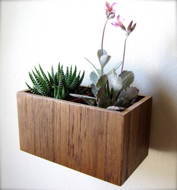 Wall Planter 5 Hanging Planter Plant Holder in by thewoodybeckers