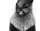Fashion Squirrel -Original Illustration printing - art print on 8" x 10" paper - animal print