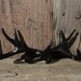 Antler Wall Mount/ Faux Taxidermy/ Black/ Faux Antlers/ Antler Wall Rack/ Wall Decor/ Wall Hook/ Jewelry Hanger