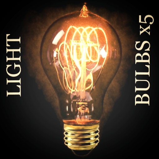 5 Victorian Antique Edison Light Bulbs A19 60w by MillerLights